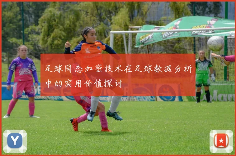 足球同态加密技术在足球数据分析中的实用价值探讨