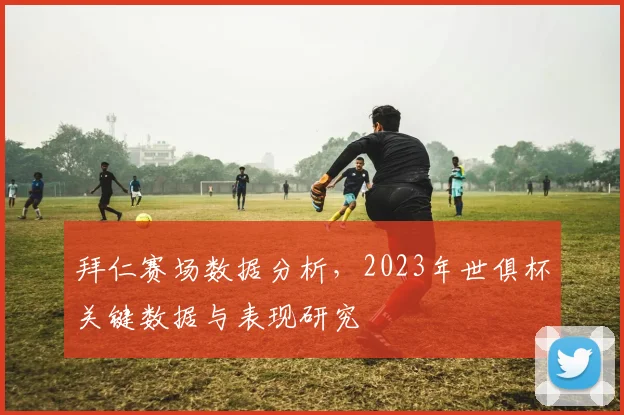 拜仁赛场数据分析，2023年世俱杯关键数据与表现研究