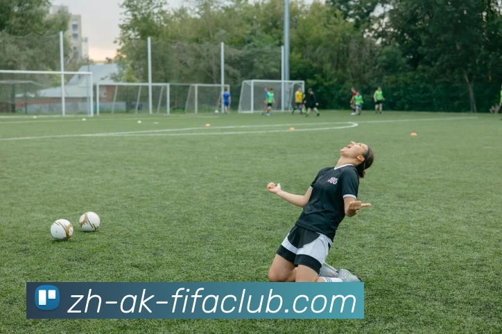 App Interface Preview