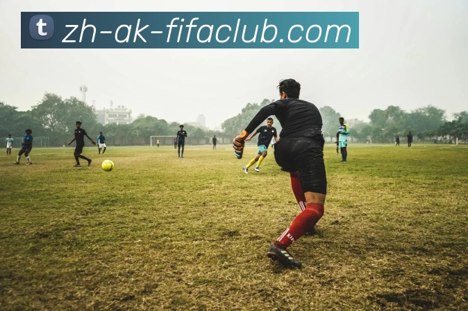 世界杯买球APP 封面图