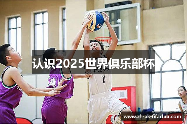 认识2025世界俱乐部杯